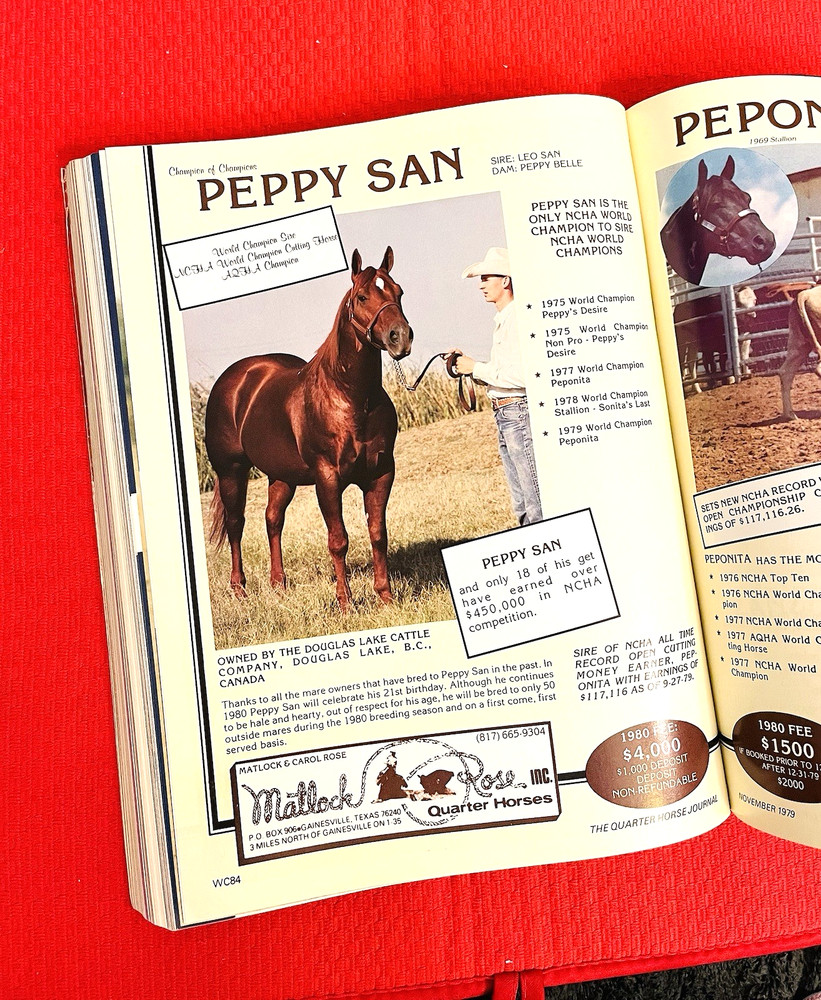 1979 Quarter Horse Journal, Book, WORLD CHAMP EDITION - PEPPY SAN - GENUINE DOC