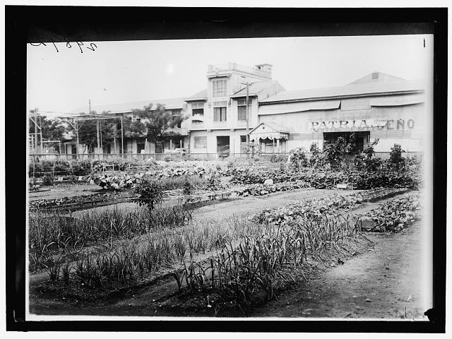 National Emergency War Gardens,Agriculture,World War I,WWI,1918,Harris & Ewing