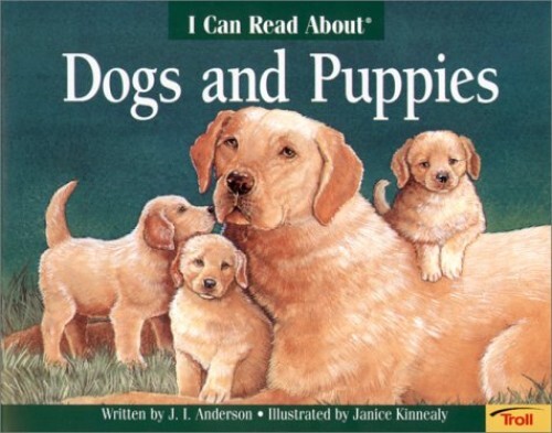Learn to Draw Dogs & Puppies Deluxe Paperback by J I Anderson