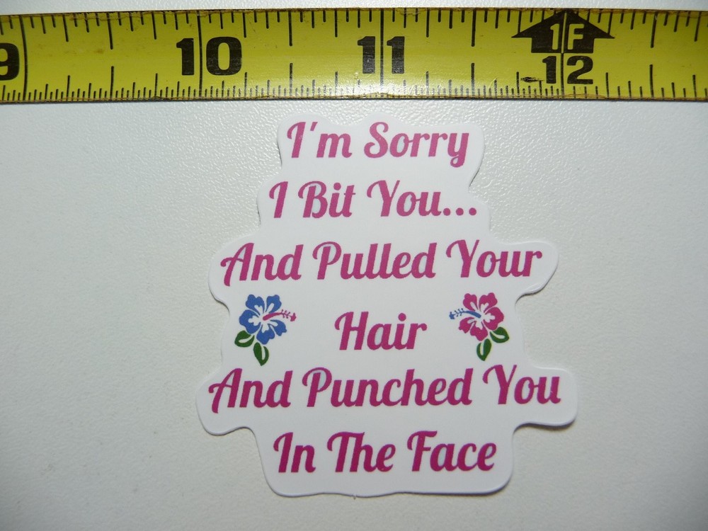 Sarcastic Sorry Bit You Pulled Hair Punched Sticker Decal