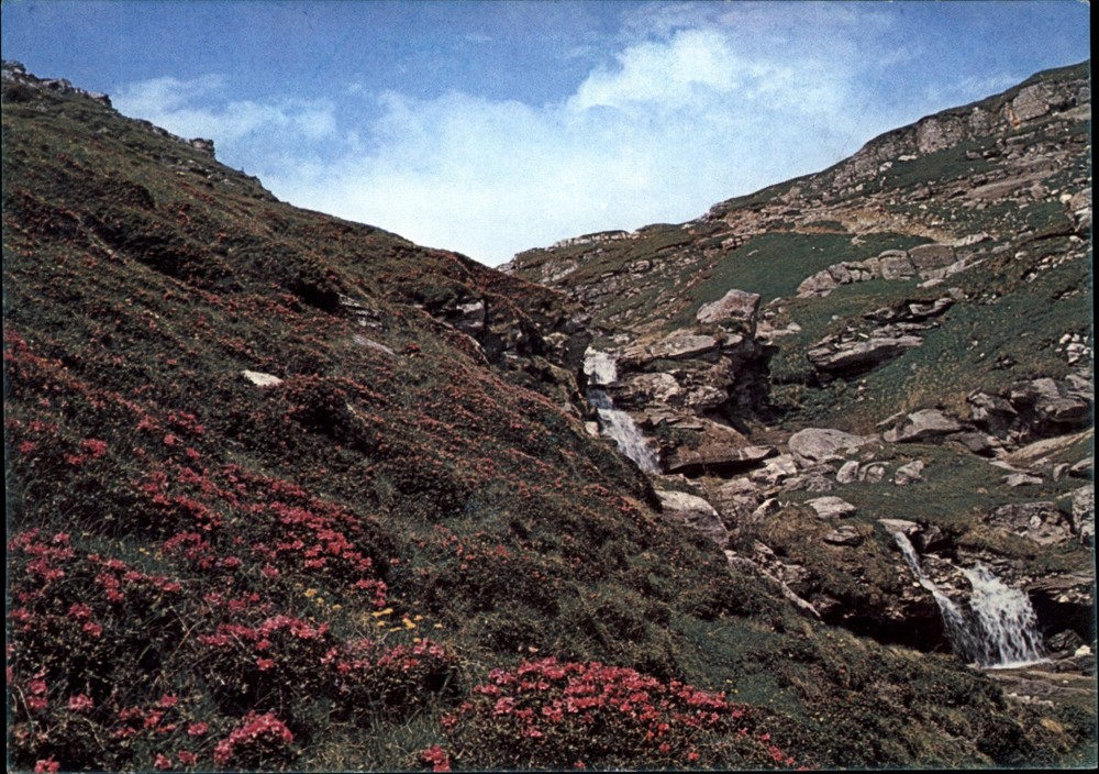 Waterfall Muntii Bucegi Romania vintage postcard x896