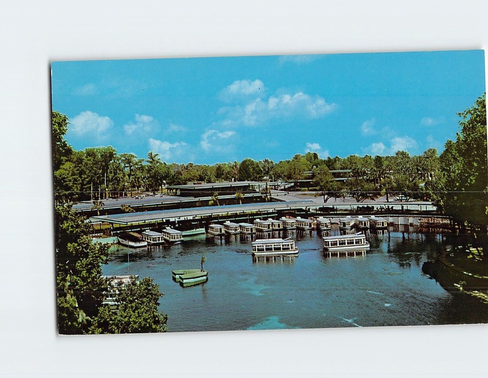 Postcard View of Boat Docks Near Friendly Ocala Florida's Silver Springs USA