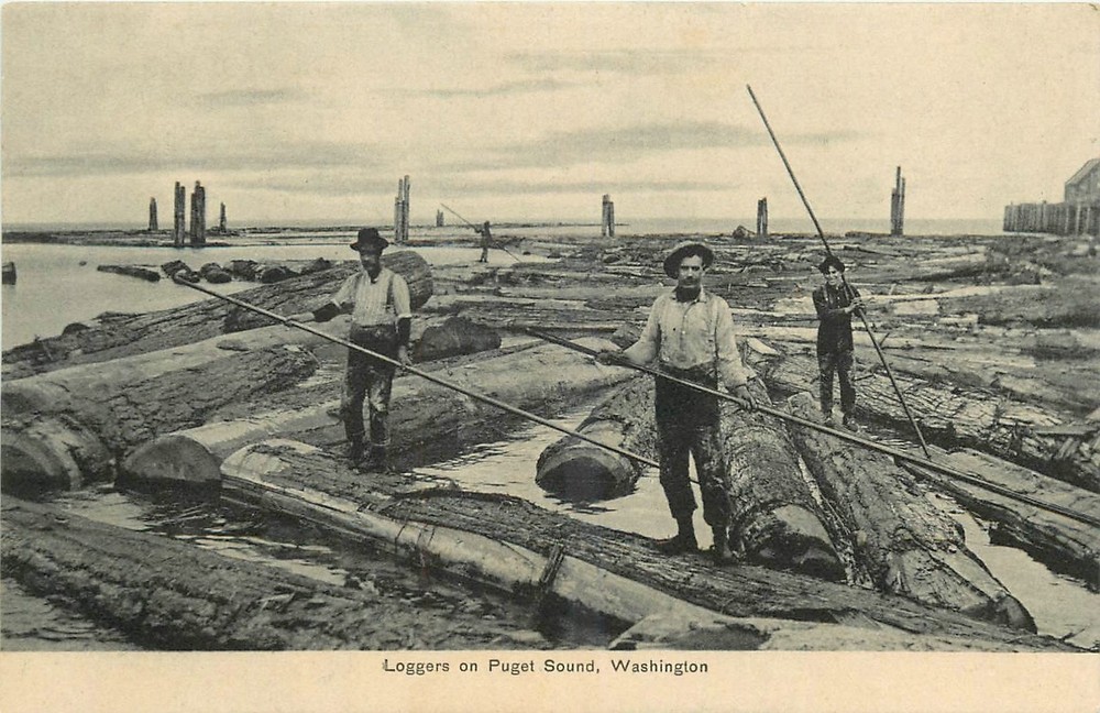 c1910 Washington Puget Sound workers Lumberjacks Logging Postcard 25-9238