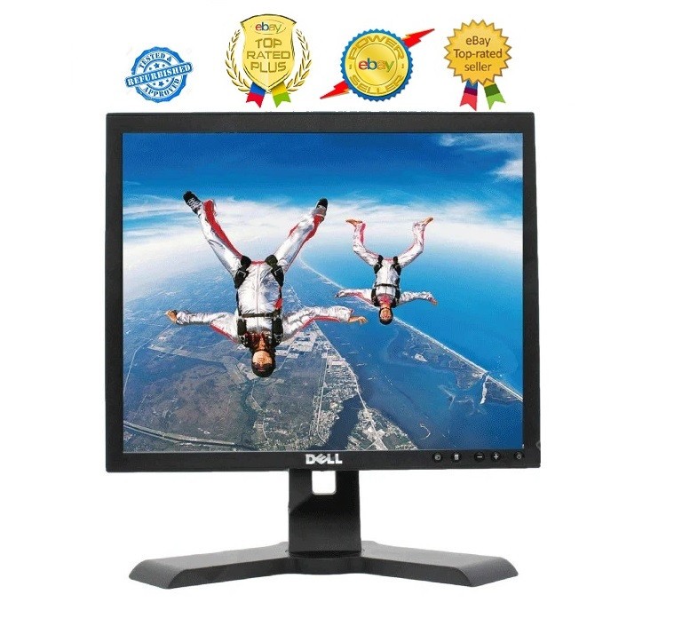 Dell P170SB 17