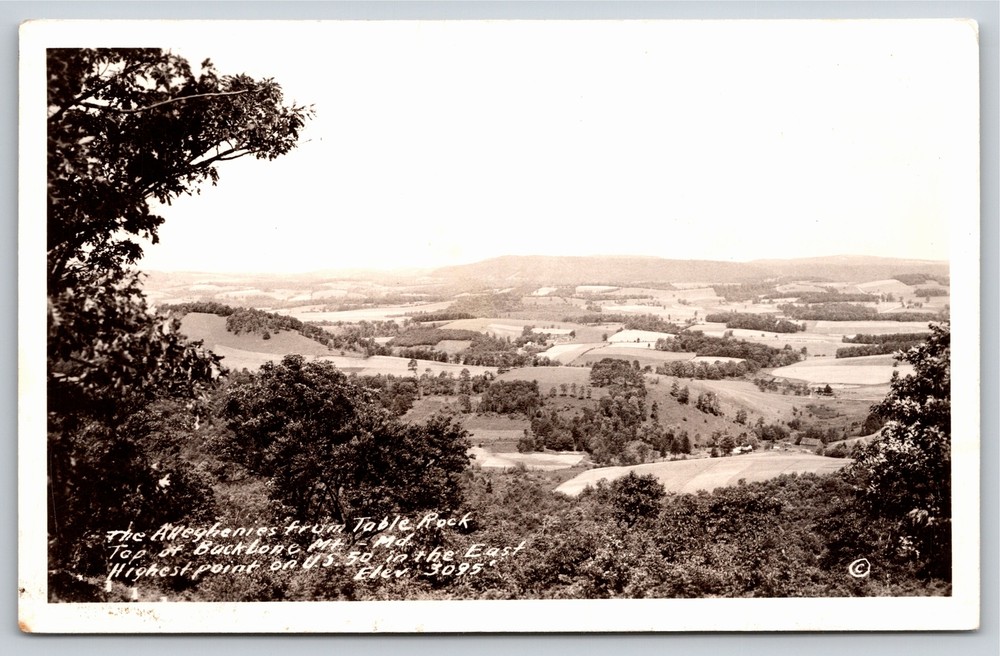 RPPC~The Alleghenies From Table Rock~Backbone Mountain~Real Photo Postcard