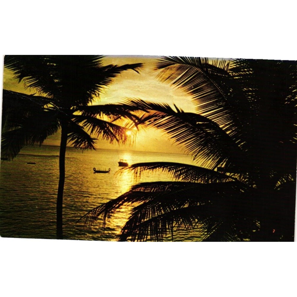 Vintage Florida Sunset Postcard Palm Trees Boats Koppel Color Cards FG-54 Posted
