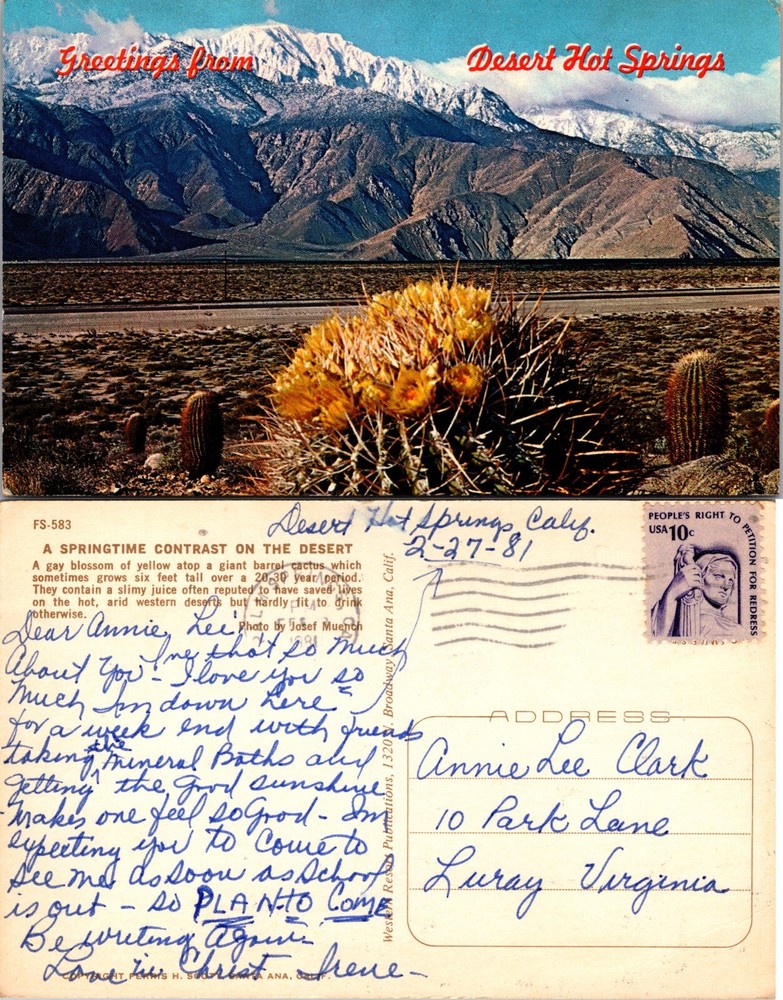 Desert Hot Springs California CA Postcard