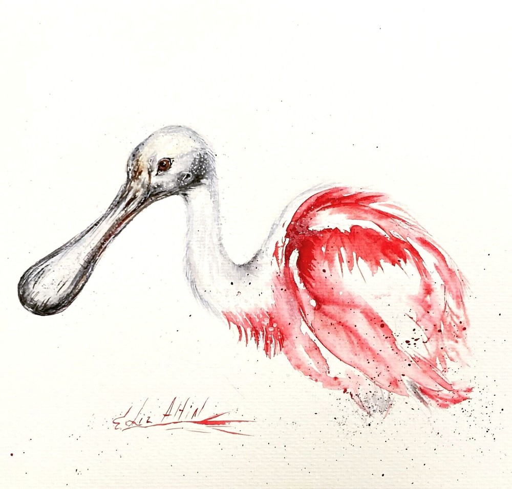 Spoonbill Roseate Bird Watercolor Painting Original Artwork
