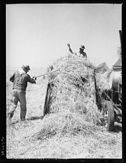 Photo:Casa Grande Valley Farms Pinal County Arizona 1940 Hay Field Workers