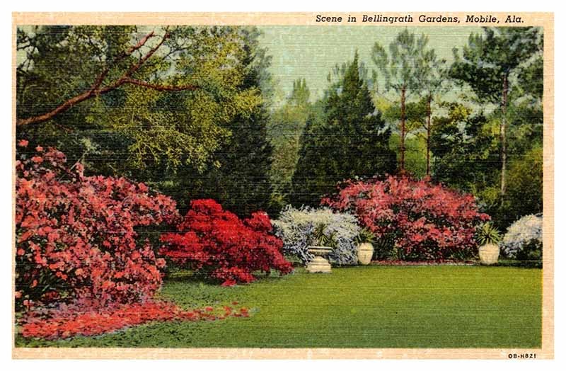Postcard GARDEN SCENE Mobile Alabama AL m/09 AP5142