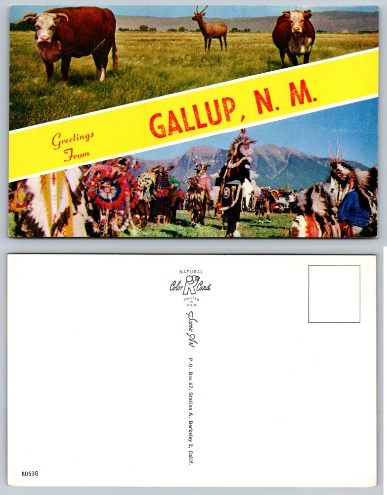 Gallup New Mexico Native American Dance Postcard