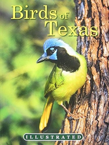 The Illustrated Birds of Texas by Ohr, Tim, Acceptable Book