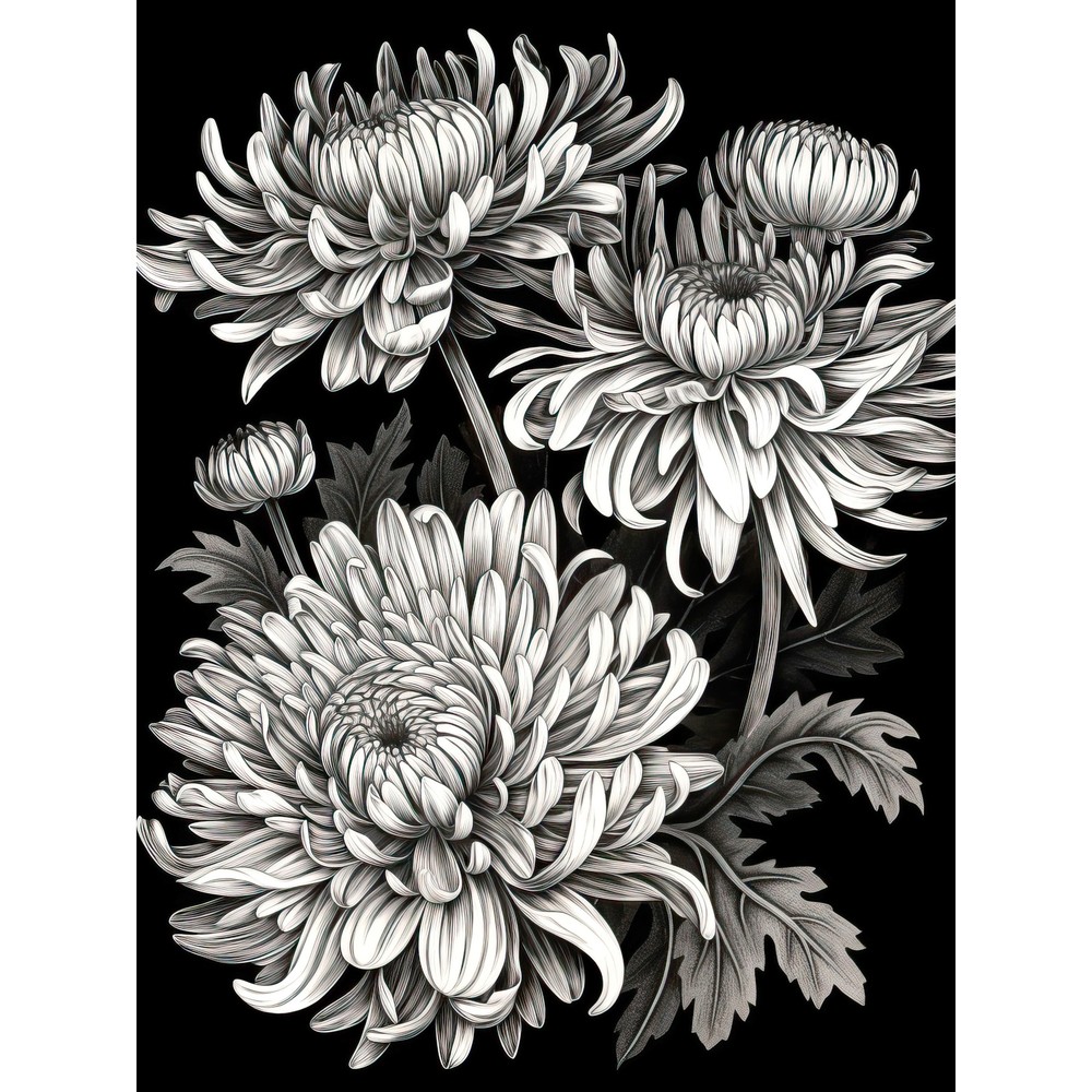 Detailed Black and White Chrysanthemum Flowers Huge Wall Art Poster Print Giant