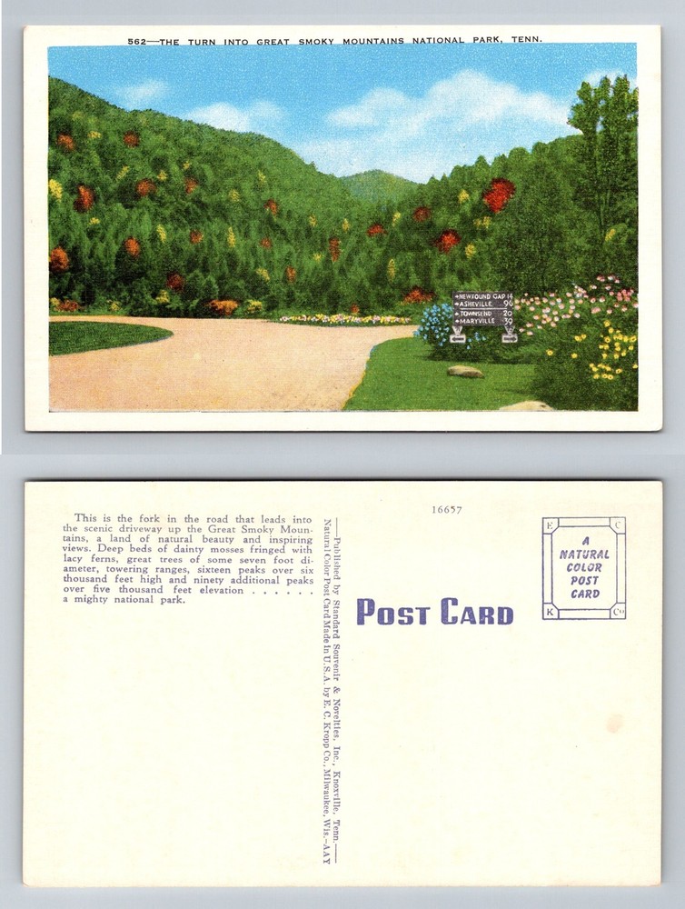 Great Smoky Mountains TN-Tennessee, Turn Into National Park Vintage Postcard