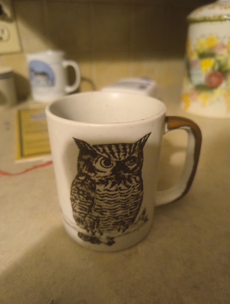 Vintage Retro Owl on Branch Coffee Mug Tea Mug