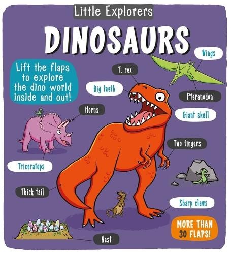 Little Bee Books Little Explorers: Dinosaurs (Hardback) Little ExplorersAnother great item from Rarewaves USA | Free delivery!