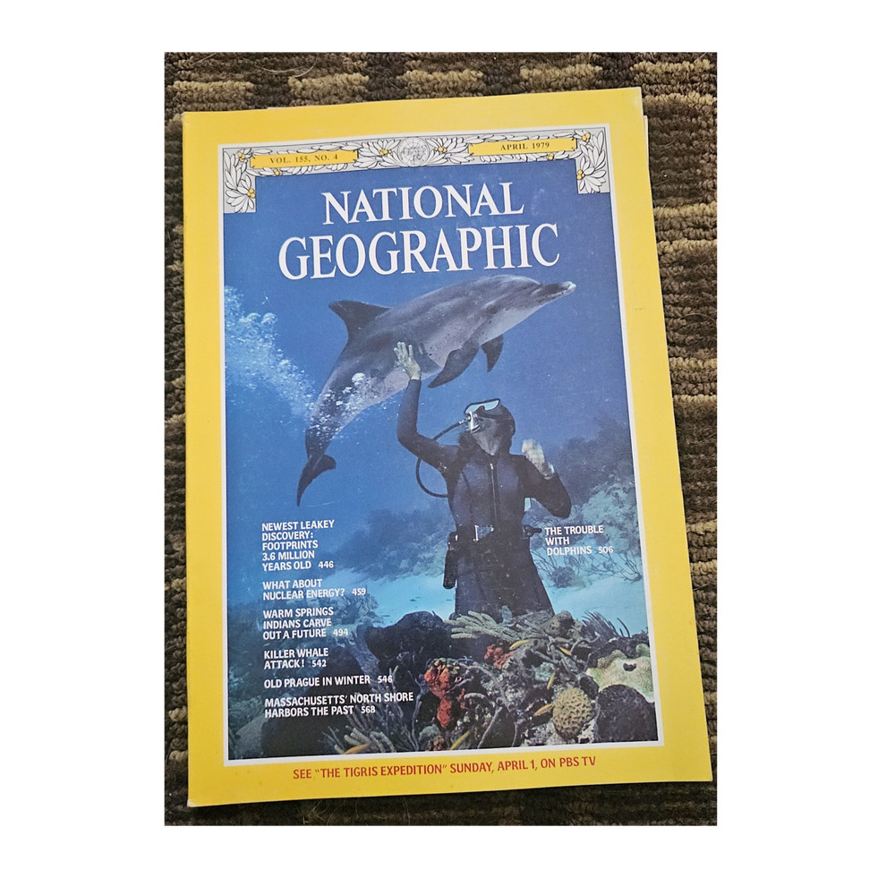 National Geographic Vol 155 No 4 April 1979 Illustrated Dolphins Nuclear Energy