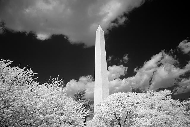 Washington Monument,Washington,DC,April 2007,Carol Highsmith,Photographer,2