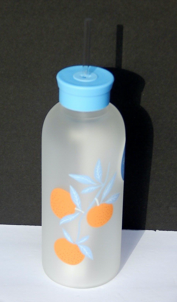 OCS Designs 25oz Reusable Glass Water Bottle with Straw Authentic  