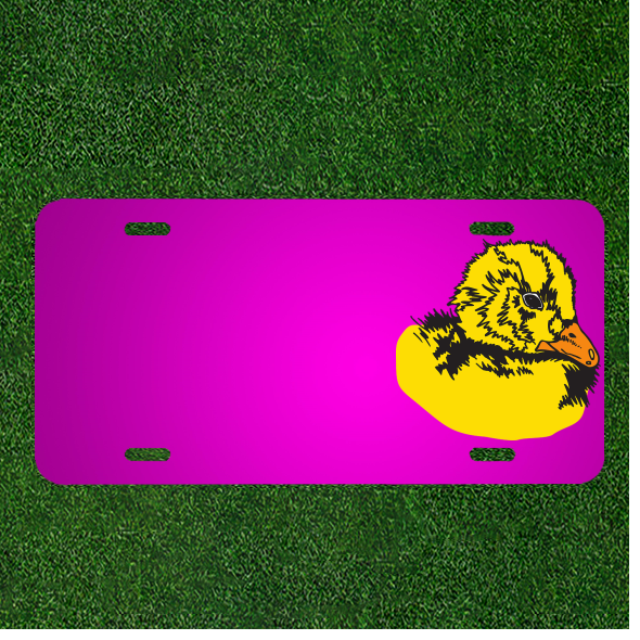 Custom Personalized Car License Plate With Add Names To Baby Head Bird