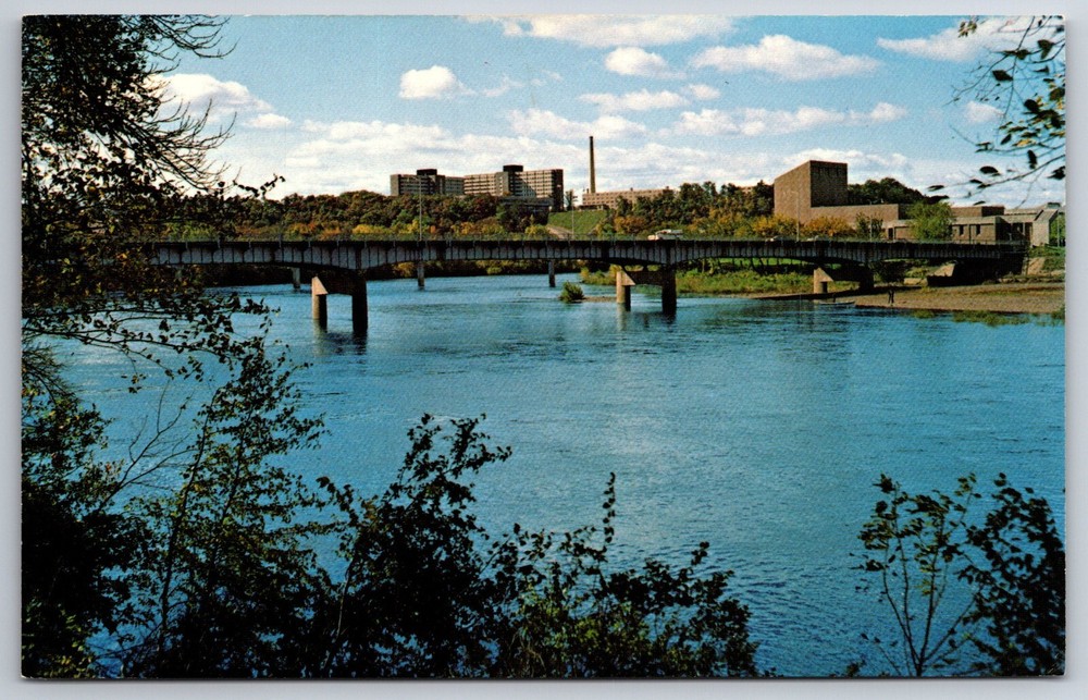 Eau Claire Wisconsin~State University Chippewa River~Vintage Postcard
