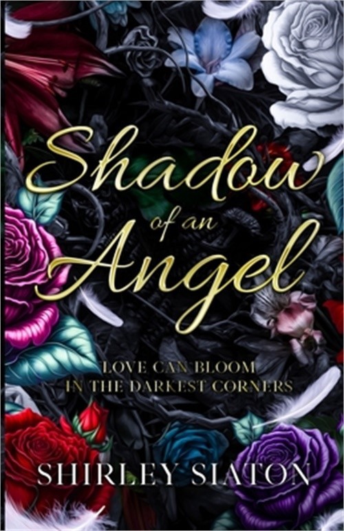Shadow of an Angel (Paperback or Softback)