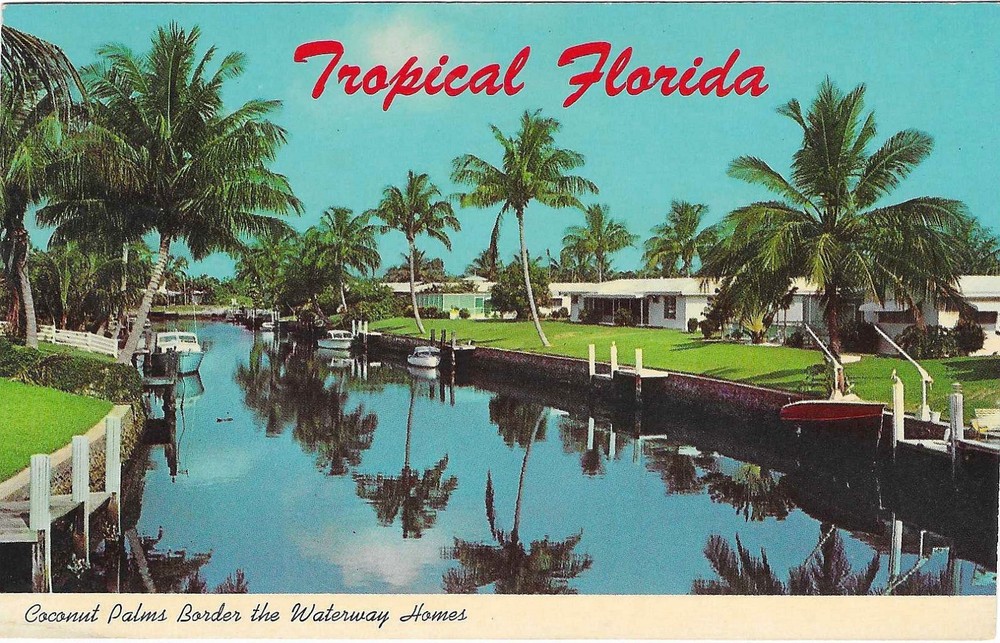 Vintage Florida Chrome Postcard Tropical Red Letters Coconut Palms Waterway