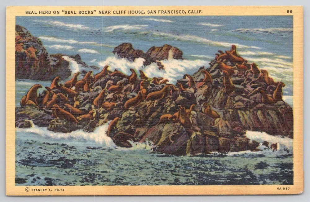 Vintage San Francisco Seal Rocks Cliff House Linen Postcard 1930s