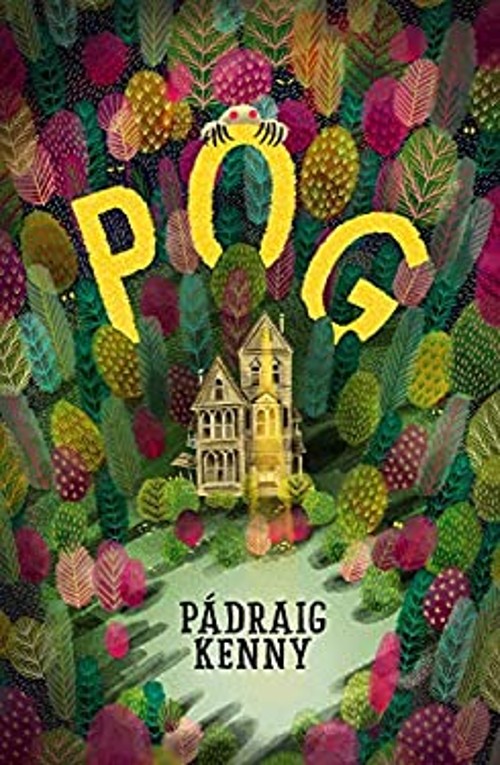 Pog Paperback Pádraig KennyFree US Delivery | ISBN:1911490397