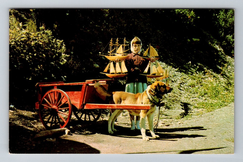 Canada- LaGaspesie Quebec Typical Dog Cart Souvenir Old Postal Vintage Postcard