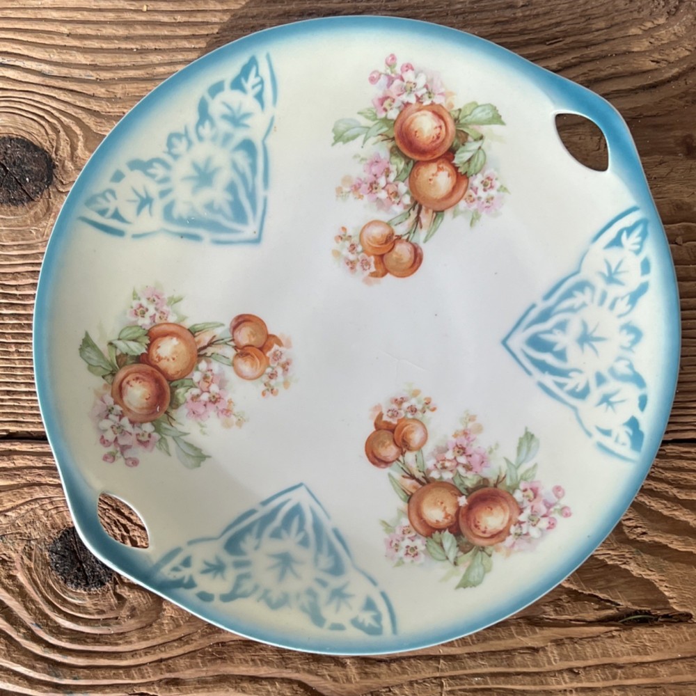 Vintage Germany Porcelain Decorative Plate Floral fruit pattern 288 Handles