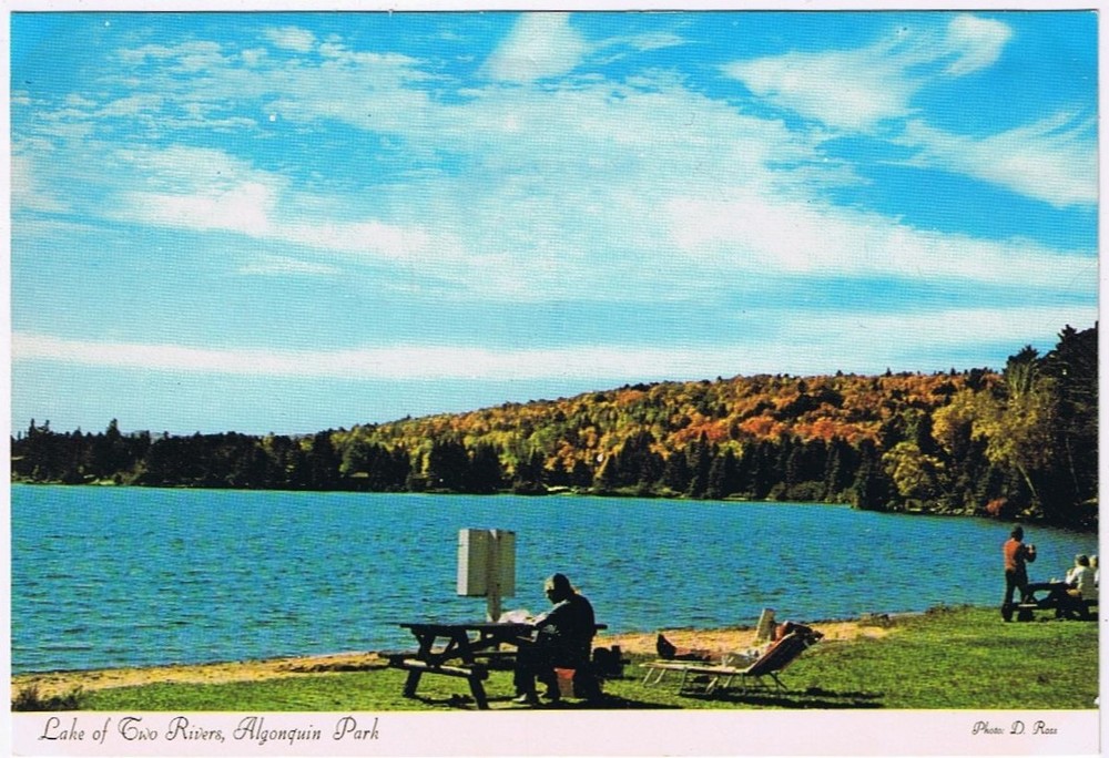 Postcard Lake Of Two Rivers Algonquin Park Ontario