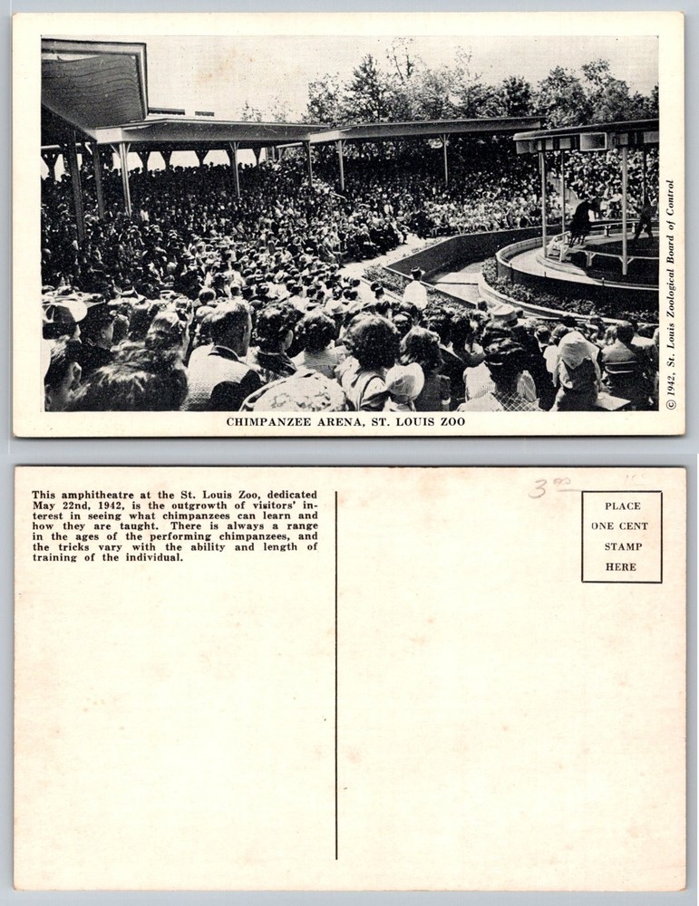 1942 St. Louis Zoo Chimpanzee Arena Postcard Vintage Animal Show Missouri