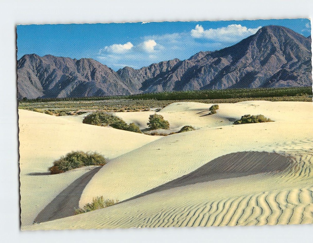 Postcard Desert Sand Dunes Great Southwest USA