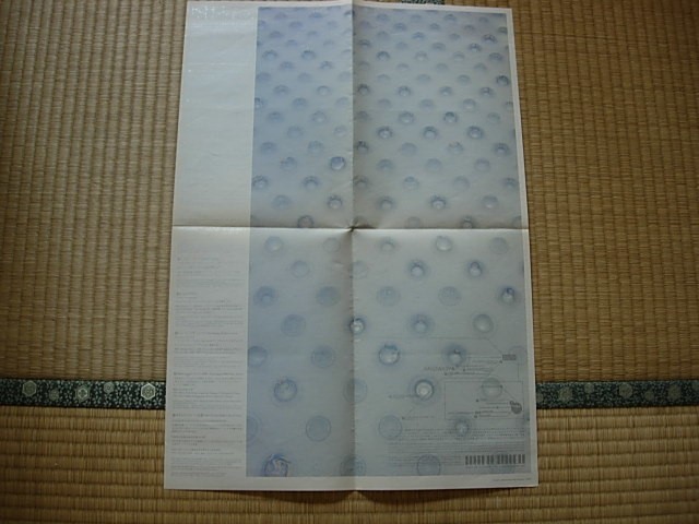 Art Exhibition Koheiawa Synthes 2011 Contemporary Art Museum Tokyo