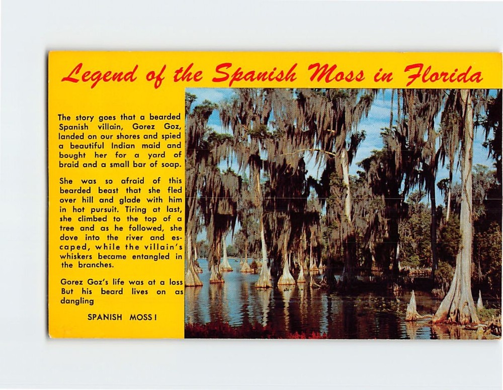 Postcard Legend of the Spanish Moss in Florida USA