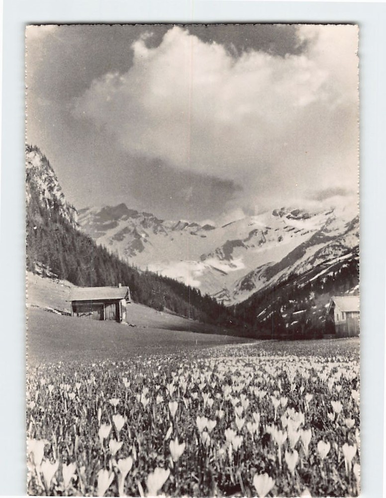 Postcard Scenic View in Liechtenstein