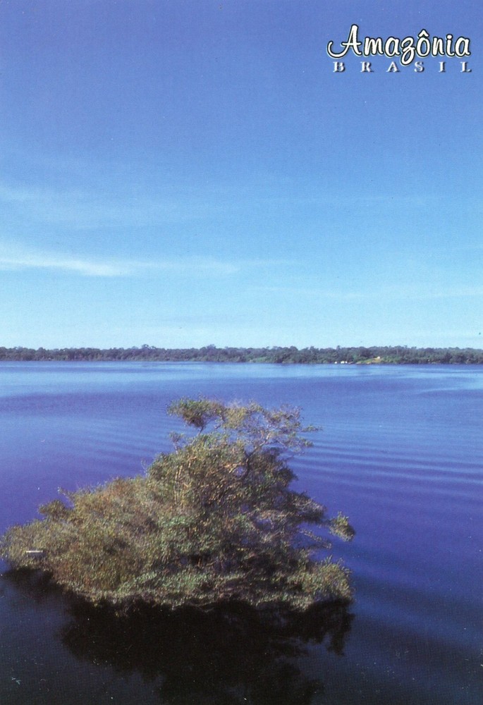 Anavilhanas Archipelago, Near Manaus, Amazonia, Brazil, UNP, VG Cond --POSTCARD