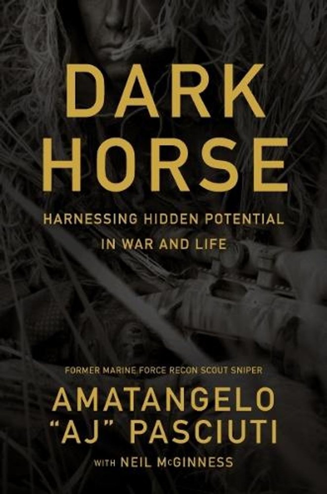 Darkhorse: Harnessing Hidden Potential in War and Life by Amatangelo 