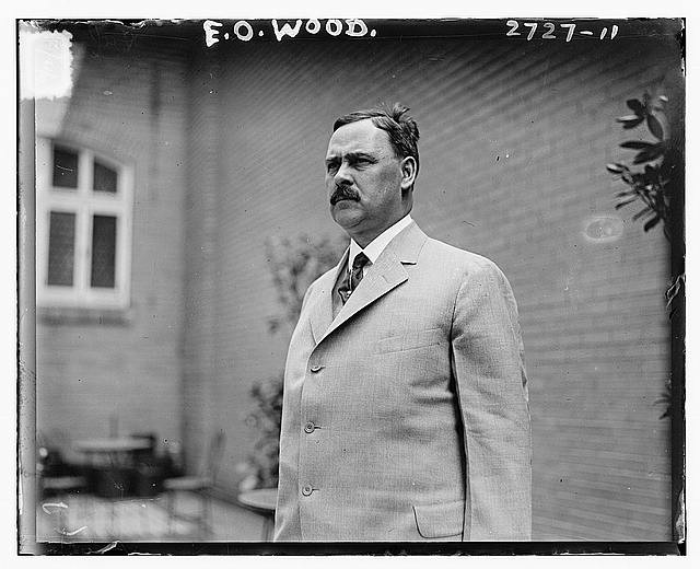 Edwin Orin Wood,1861-1918,chairman of Democratic National Committee of Michigan
