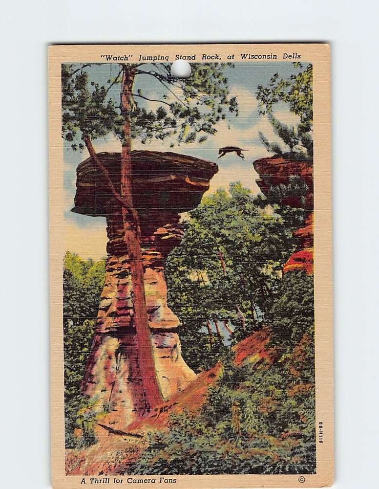 Postcard Watch Jumping Stand Rock Wisconsin Dells Wisconsin USA