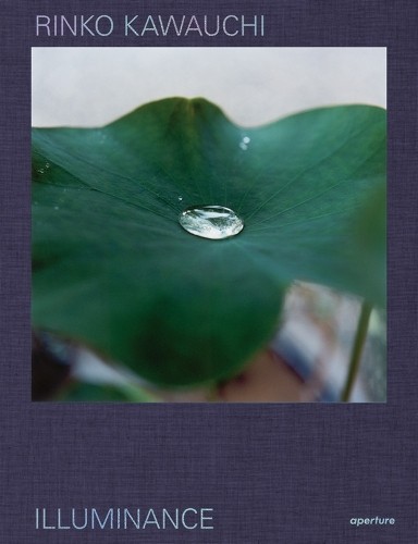 Lesley A. Martin Rinko Kawauchi: Illuminance (Hardback)Another great item from Rarewaves USA | Free delivery!