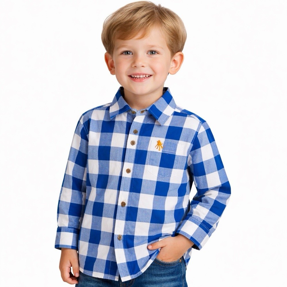 Carter’s Button Up Shirt Boys 4T Blue White Plaid Check Long Sleeve Casual EUC