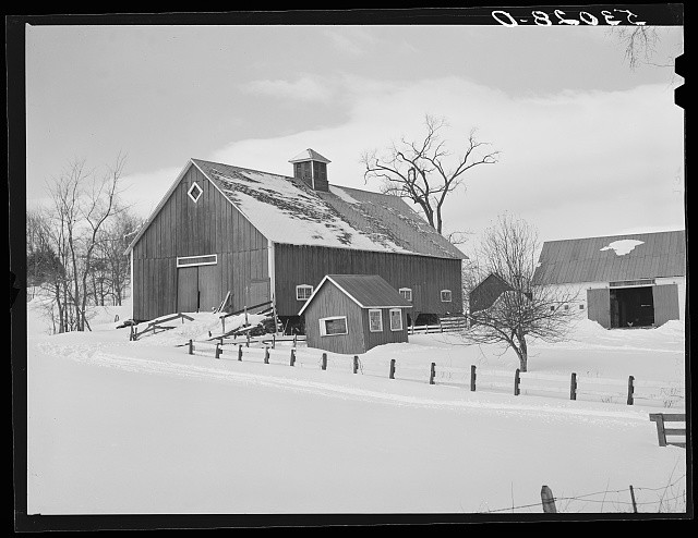 Photo:Putney Vermont R W Cassidy Farm Barns 1940 Snowy Farmstead