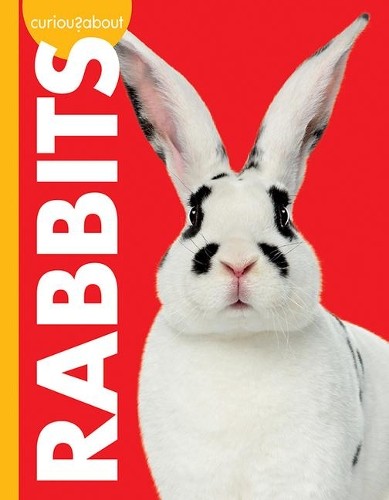 Jill Sherman Curious about Rabbits (Paperback) Curious about PetsAnother great item from Rarewaves USA | Free delivery!