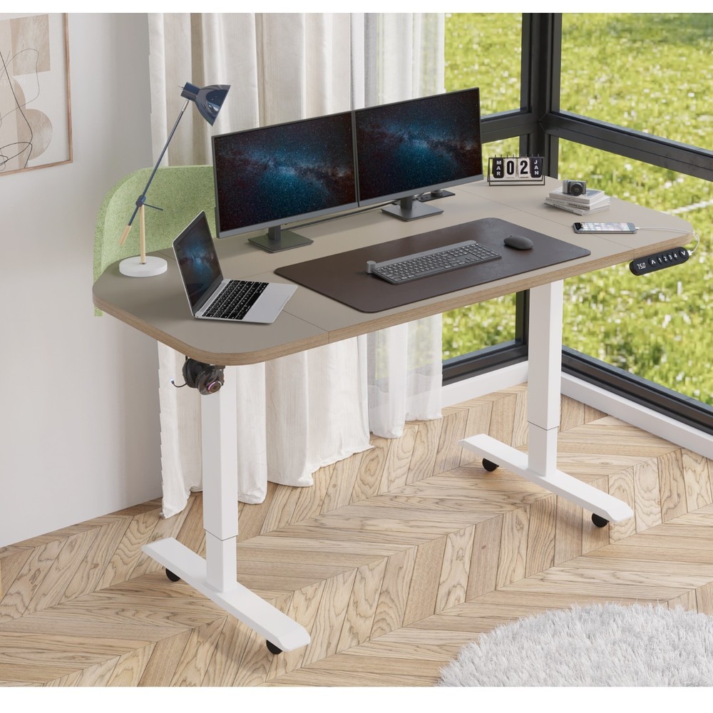 63'' Height Adjustable Standing Desk with a Green Desk Divider