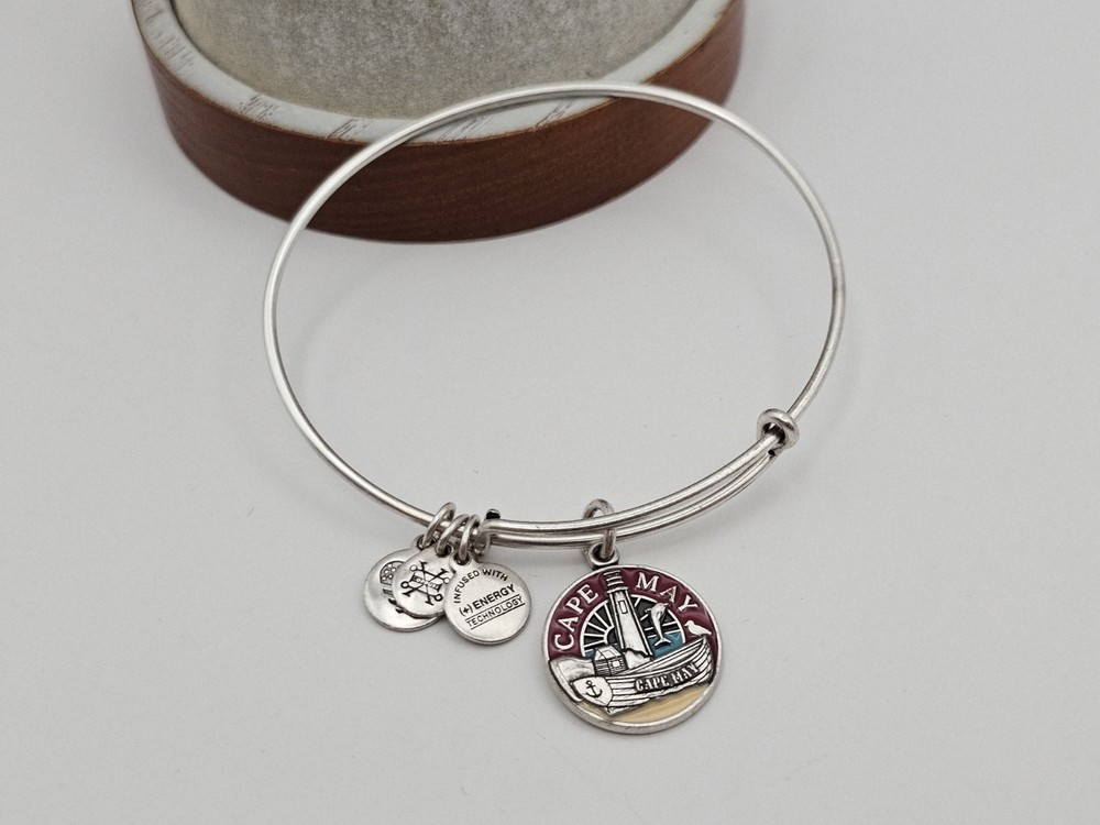 Alex and Ani Cape May New Jersey Charm Bangle Bracelet  Silver 🎁
