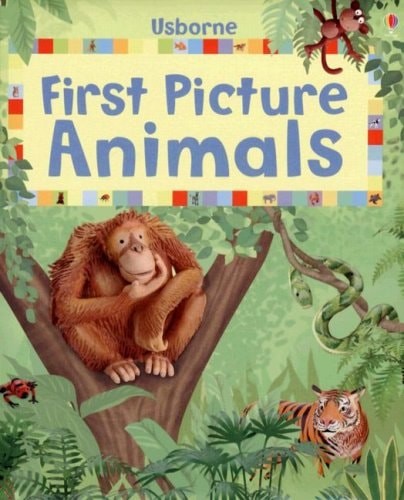 First Picture Animals (First Picture Board Books) by Helbrough, Emma,Brooks, Fel