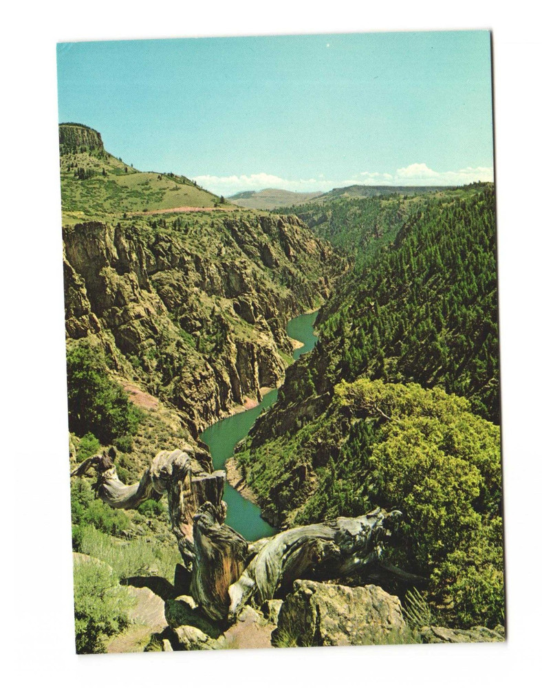 Morrow Point Reservoir in Black Canyon of Gunnison River Vintage postcard Unp