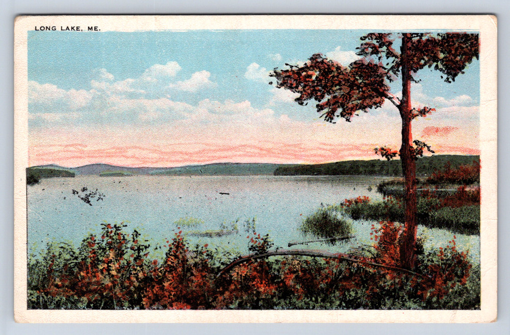 Vintage Postcard Long Lake Maine Scenic View